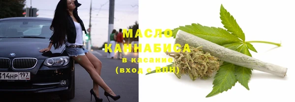 молекула духа Киреевск