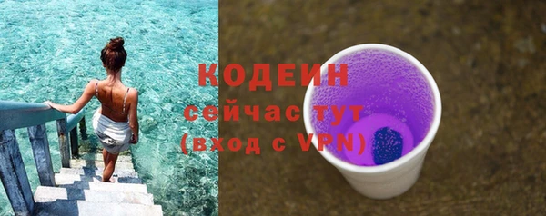 молекула духа Киреевск