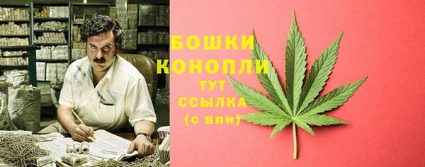 молекула духа Киреевск
