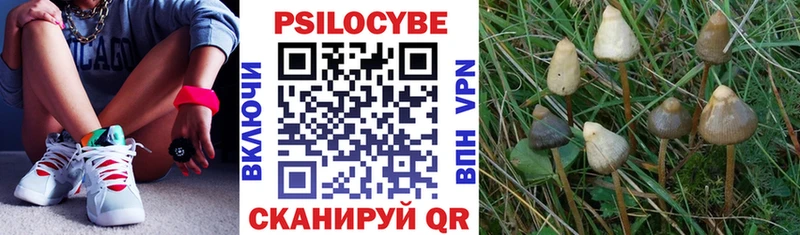 Псилоцибиновые грибы прущие грибы  Купить закладки  Свободный 